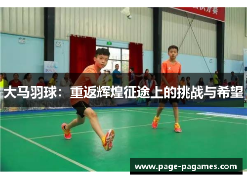 大马羽球：重返辉煌征途上的挑战与希望