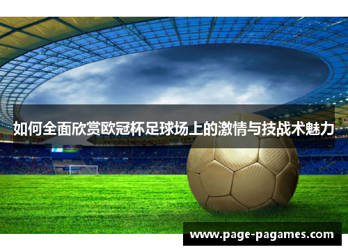 如何全面欣赏欧冠杯足球场上的激情与技战术魅力