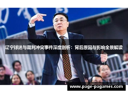 辽宁球迷与裁判冲突事件深度剖析：背后原因与影响全景解读