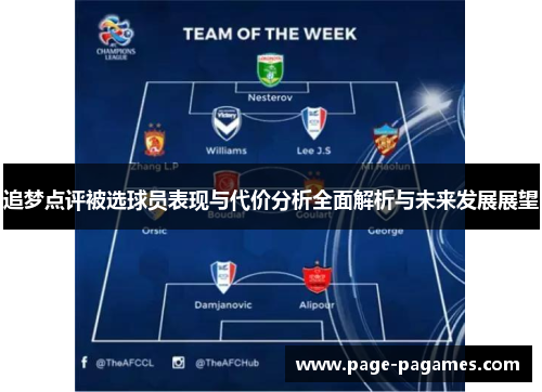 追梦点评被选球员表现与代价分析全面解析与未来发展展望