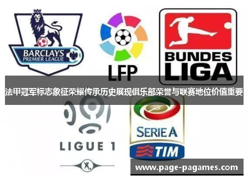 法甲冠军标志象征荣耀传承历史展现俱乐部荣誉与联赛地位价值重要
