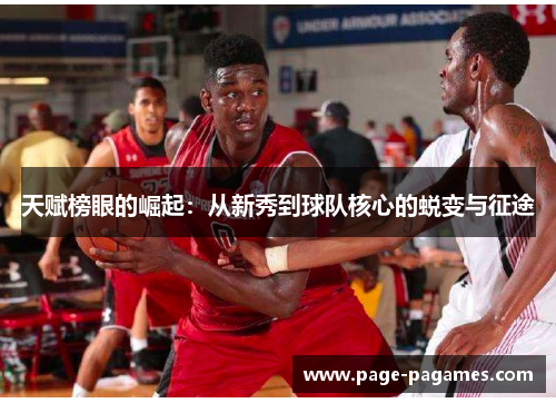 天赋榜眼的崛起：从新秀到球队核心的蜕变与征途