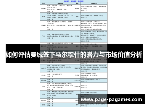 如何评估曼城签下马尔穆什的潜力与市场价值分析
