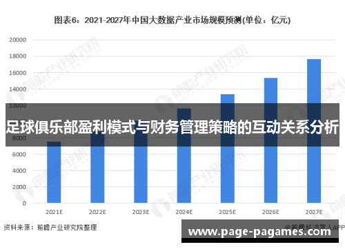 足球俱乐部盈利模式与财务管理策略的互动关系分析